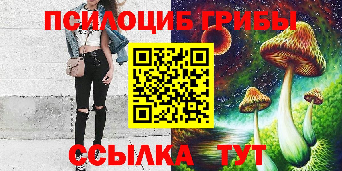 Ипатово  Псилоцибиновые грибы Magic Shrooms  дарнет шоп  Вход с VPN  Галлюциногенные грибы GOLDEN TEACHER 